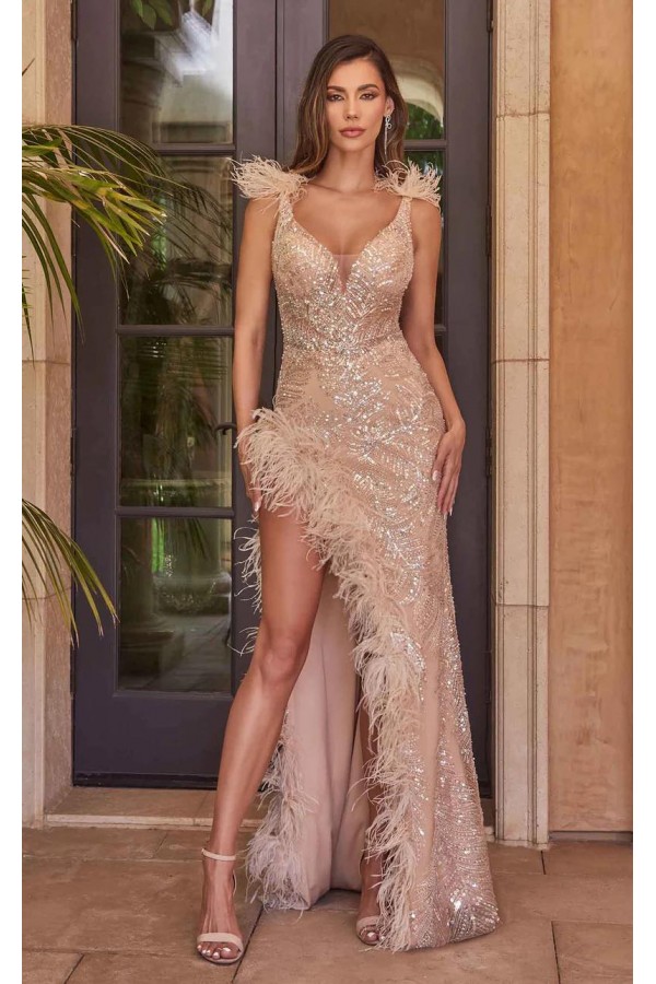 Embellished Fitted Gown With Feather Details