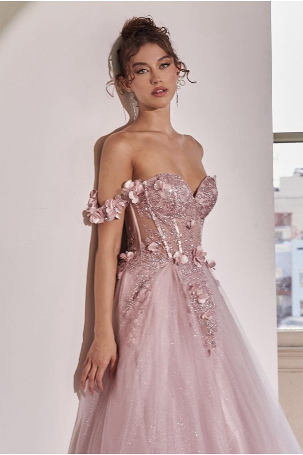 Floral Applique Corset Tulle Ball Gown